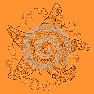 Starfish color drawing vector illustration