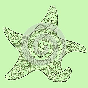 Starfish color drawing vector illustration