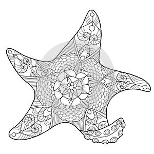 Starfish coloring book for adults vector