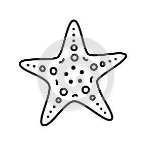 STARFISH DOODLE. Vector sea star. Line Drawing Vector Illustration