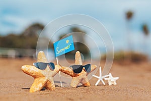 Starfish family with eye glasses on the beach. Summer concept.