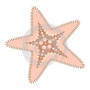 Pink Starfish flat icon. Sea animal cartoon style. Echinoderm. Underwater world photo