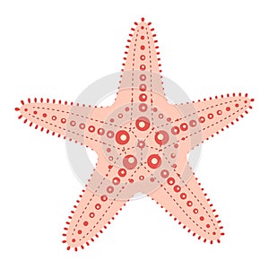 Pink Starfish flat icon. Sea animal cartoon style. Echinoderm. Underwater world photo