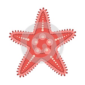 Red Starfish flat icon. Sea animal cartoon style. Echinoderm. Underwater world photo