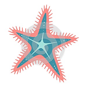 Royal Starfish flat icon. Sea animal cartoon style. Echinoderm. Underwater world photo