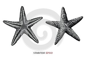 Starfish hand draw vintage engraving style black and white clipart isolated on white background