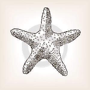 Starfish hand drawn seamless pattern vector