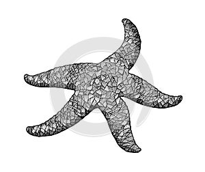 Starfish, hand drawn stylized ink vintage illustration