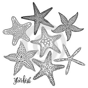 Starfish. Hand drawn vector collection, 7 isolated  elements on white background. Perfect for menu decoration, invitation, card,