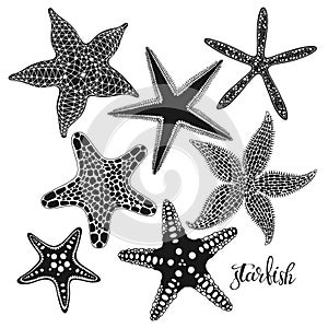 Starfish. Hand drawn vector collection, 7 isolated  elements on white background. Perfect for menu decoration, invitation, card,