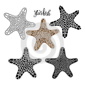 Starfish. Hand drawn vector illustration, 5 isolated  elements on white background. Perfect for menu decoration, invitation, card