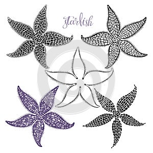 Starfish. Hand drawn vector illustration, 5 isolated  elements on white background. Perfect for menu decoration, invitation, card