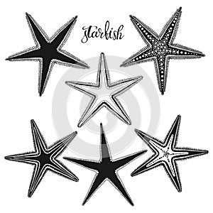 Starfish. Hand drawn vector illustration, 6 isolated  elements on white background. Perfect for menu decoration, invitation, card