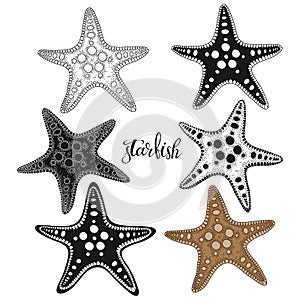 Starfish. Hand drawn vector illustration, 6 isolated  elements on white background. Perfect for menu decoration, invitation, card