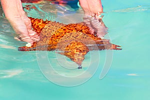 Starfish in hands near Saona Island, Dominican Republic