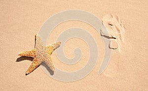 Starfish With Human Footprint