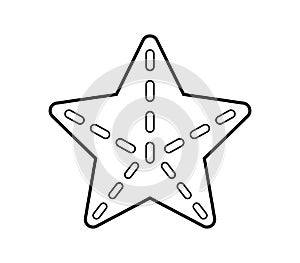 Starfish icon illustrated in vector on white background