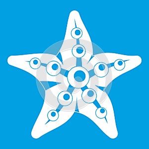 Starfish icon white