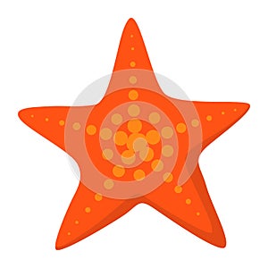Starfish isolated, beach and vacations concept