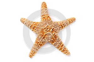 Starfish isolated on white background