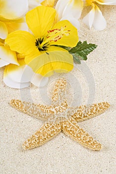 Starfish and Lei on the Beach