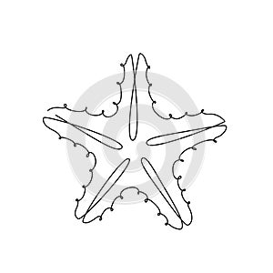 STARFISH LINE ART. Vector sea star. Continuous Line Drawing Vector Illustration