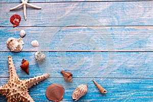 Starfish and many seashells on blue wood textured background