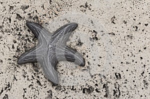 StarFish in Miami