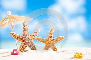 Starfish with ocean , beach and seascape