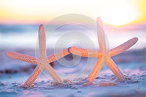 Starfish on the ocean beach. Spring or summer vacations. Beautiful ocean sunset. Sea or Ocean coast with white sand. Florida parad