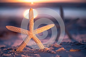 Starfish on the ocean beach. Spring or summer vacations. Beautiful ocean sunset. Sea or Ocean coast with white sand. Florida parad