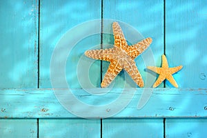 Starfish on an old rustic door