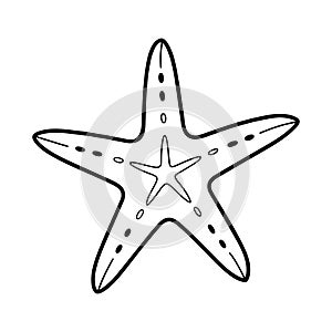 Starfish outline doodle drawing, isolated on white background.