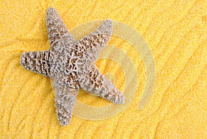 Starfish over yellow sand