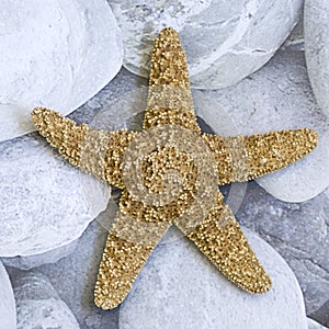 Starfish on pebble