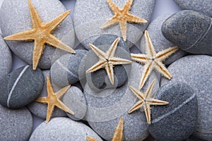 Starfish and Pebble Background