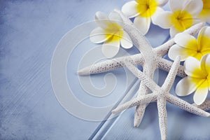 Starfish and Plumeria Flowers