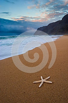 Starfish on Polihale beach at sunset, Kauai