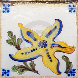 Starfish Portuguese antique tile