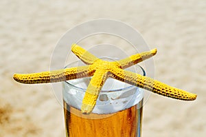 Starfish and refreshing beer on the beach