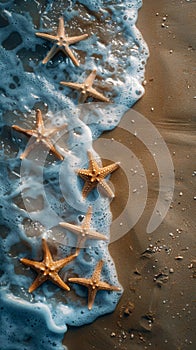 Starfish Resting on Sandy Beach by Ocean