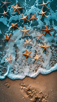 Starfish Resting on Sandy Beach by Ocean