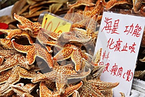 Starfish for sale
