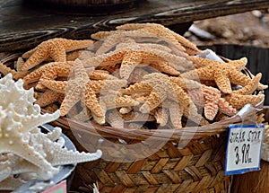 Starfish for sale at market place background.