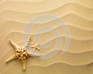 Starfish with sand