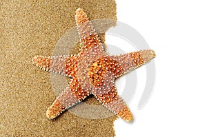 Starfish on the sand