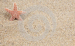 Starfish sand background