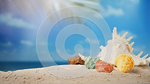 Starfish on sand beach and blurred beach background summer time concept.