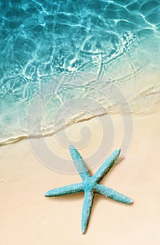 Starfish on the sand beach and ocean as background. Summer beach