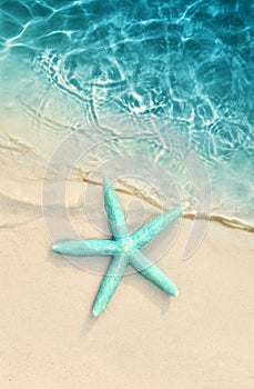 Starfish on the sand beach and sea as background. Summer beach